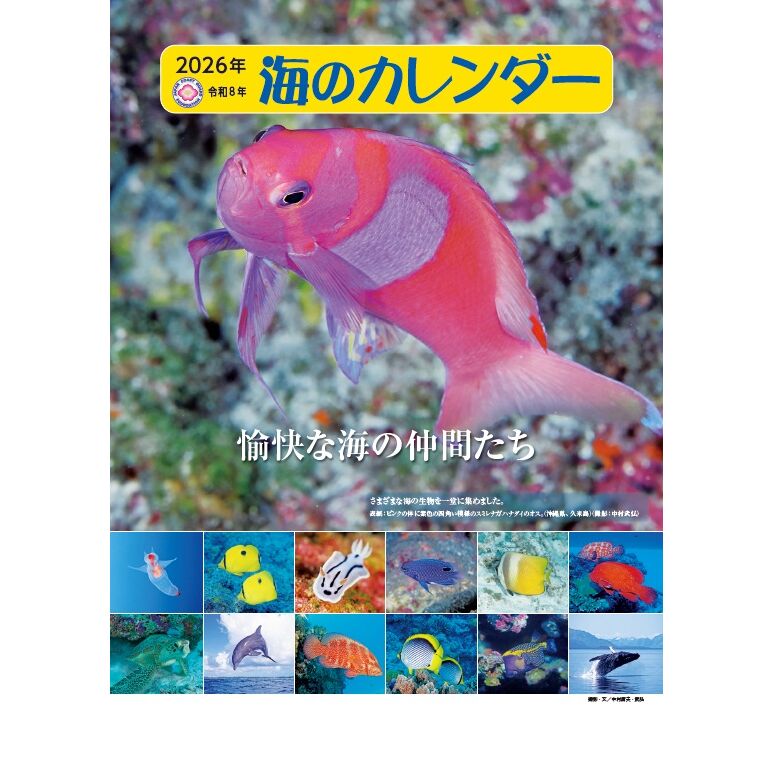 カレンダー :: 海のカレンダー令和8年版