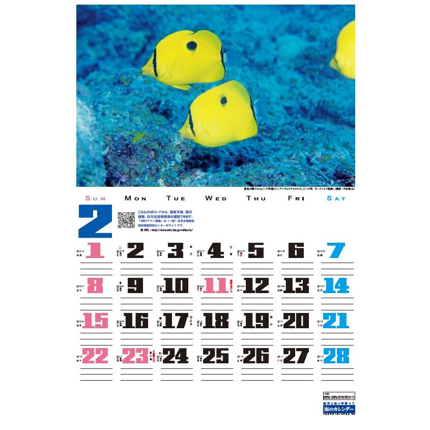 水穂さん専用カレンダー 実績紹介】みずほ証券カレンダーイラスト（2024) - 水墨画あめつち